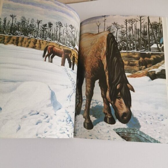 When Winter Was King Images of Winter in 19th Century Canada 1988 Book Illustrat - Picture 10 of 10